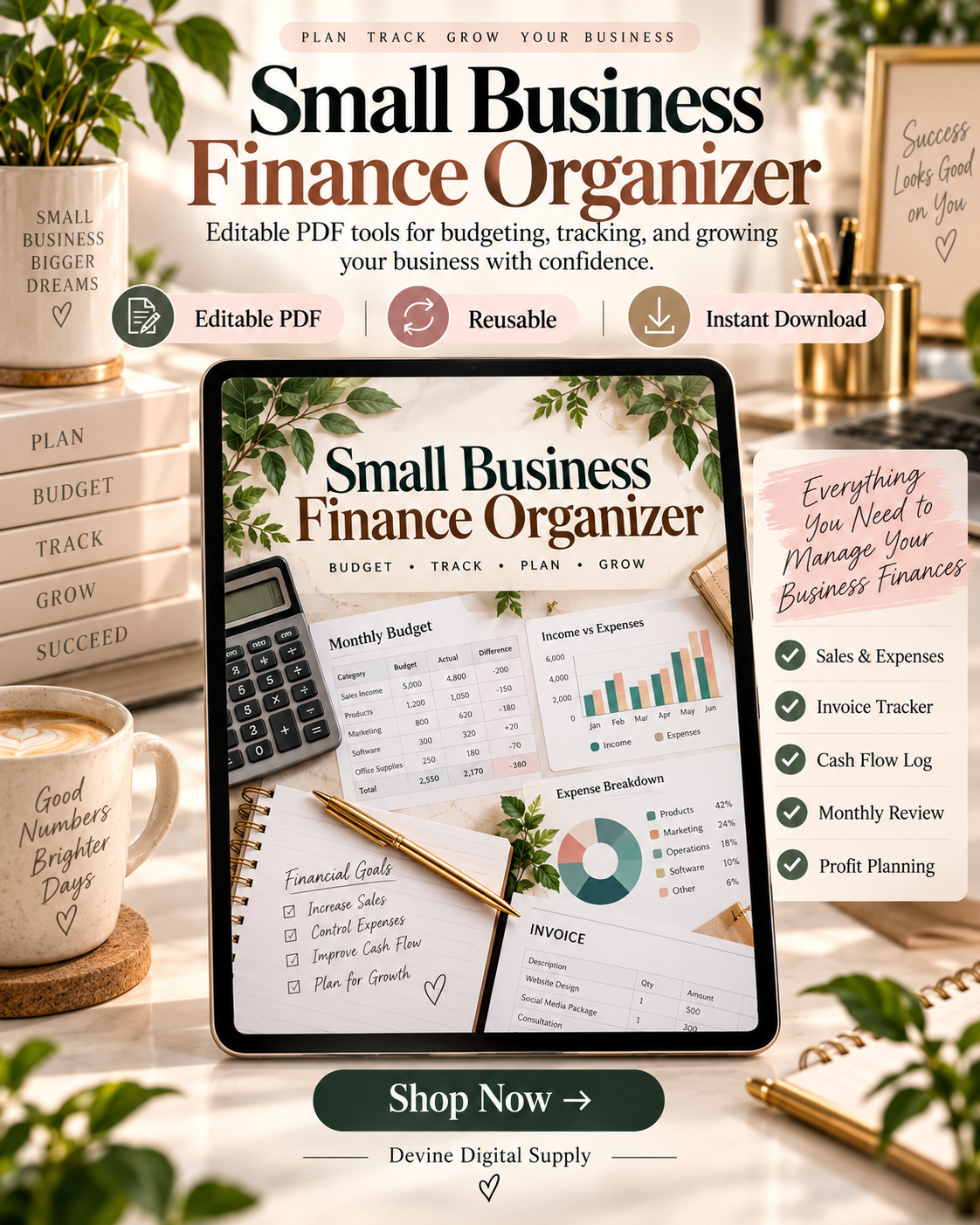 Small Business Finance Organizer | Fillable PDF